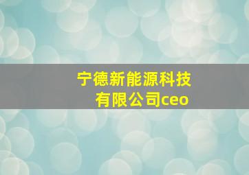 宁德新能源科技有限公司ceo