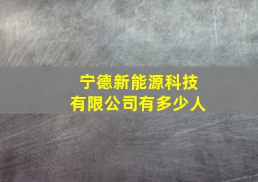 宁德新能源科技有限公司有多少人