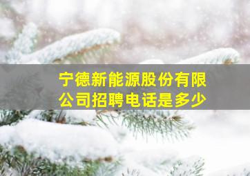 宁德新能源股份有限公司招聘电话是多少