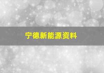 宁德新能源资料