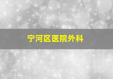 宁河区医院外科