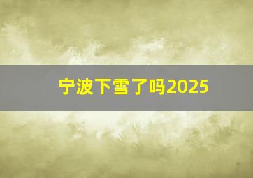 宁波下雪了吗2025