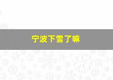 宁波下雪了嘛