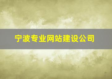 宁波专业网站建设公司