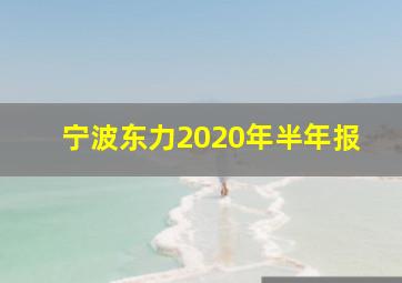 宁波东力2020年半年报