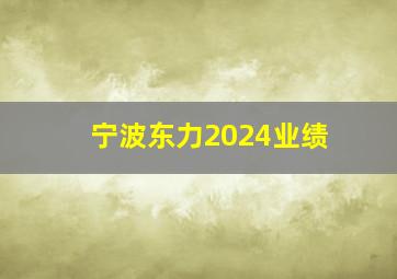 宁波东力2024业绩