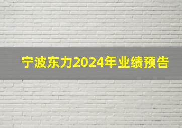 宁波东力2024年业绩预告