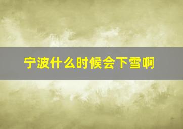 宁波什么时候会下雪啊