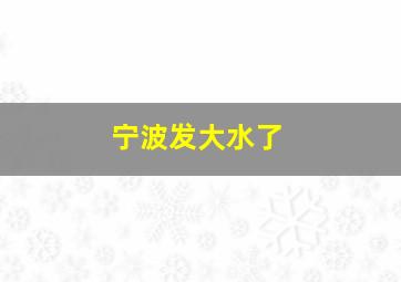 宁波发大水了