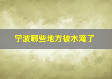 宁波哪些地方被水淹了