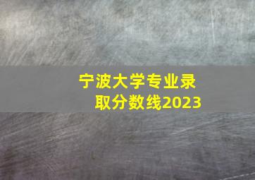 宁波大学专业录取分数线2023