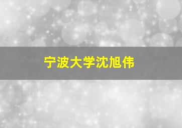 宁波大学沈旭伟