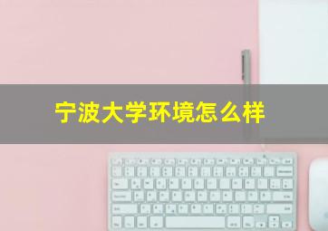 宁波大学环境怎么样