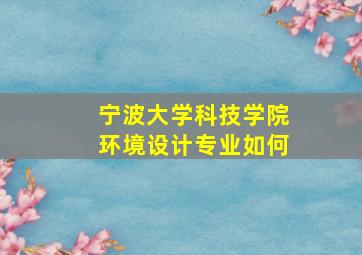 宁波大学科技学院环境设计专业如何