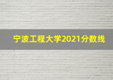 宁波工程大学2021分数线