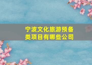 宁波文化旅游预备类项目有哪些公司