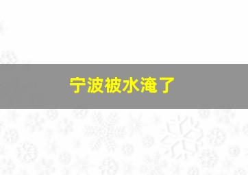 宁波被水淹了