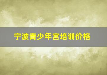 宁波青少年宫培训价格