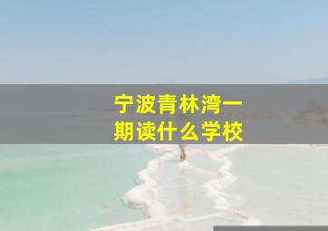 宁波青林湾一期读什么学校