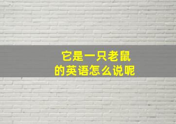 它是一只老鼠的英语怎么说呢