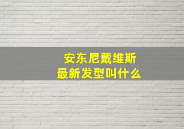 安东尼戴维斯最新发型叫什么