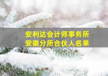 安利达会计师事务所安徽分所合伙人名单