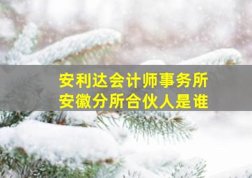 安利达会计师事务所安徽分所合伙人是谁