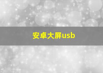 安卓大屏usb