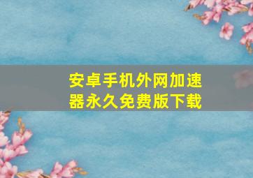 安卓手机外网加速器永久免费版下载