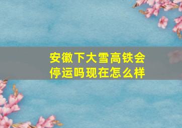 安徽下大雪高铁会停运吗现在怎么样