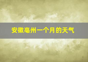 安徽亳州一个月的天气