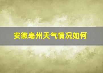 安徽亳州天气情况如何