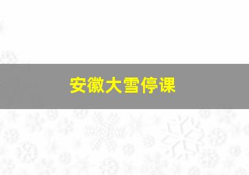 安徽大雪停课