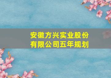 安徽方兴实业股份有限公司五年规划