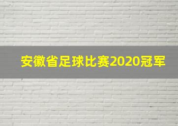 安徽省足球比赛2020冠军