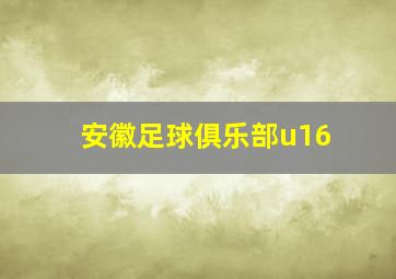 安徽足球俱乐部u16