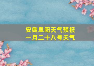 安徽阜阳天气预报一月二十八号天气