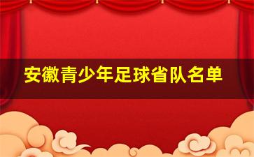 安徽青少年足球省队名单