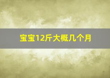 宝宝12斤大概几个月