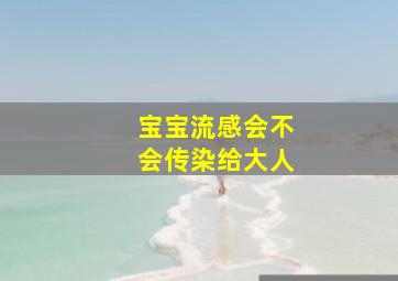 宝宝流感会不会传染给大人