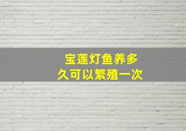 宝莲灯鱼养多久可以繁殖一次