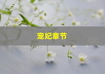 宠妃章节