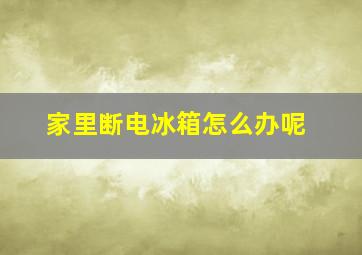 家里断电冰箱怎么办呢