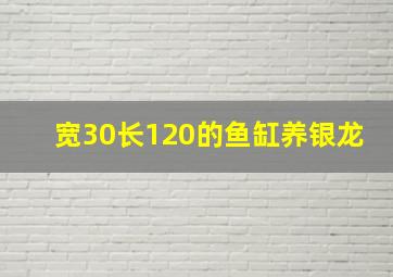 宽30长120的鱼缸养银龙