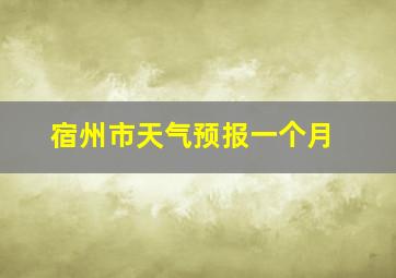 宿州市天气预报一个月