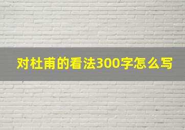 对杜甫的看法300字怎么写