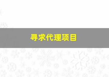 寻求代理项目