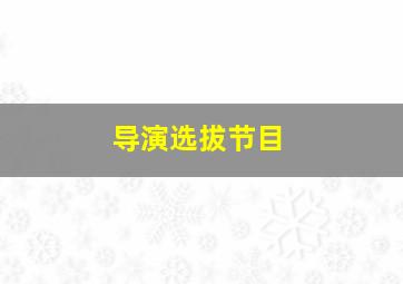 导演选拔节目