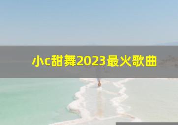 小c甜舞2023最火歌曲