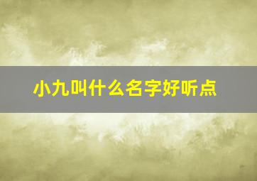 小九叫什么名字好听点